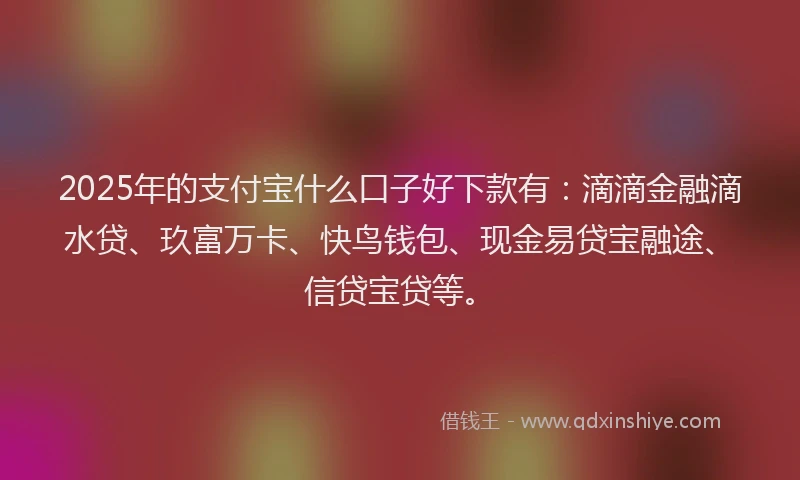 2025年的支付宝什么口子好下款有：滴滴金融滴水贷、玖富万卡、快鸟钱包、现金易贷宝融途、信贷宝贷等。
