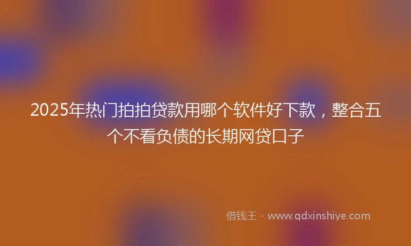 2025年热门拍拍贷款用哪个软件好下款，整合五个不看负债的长期网贷口子