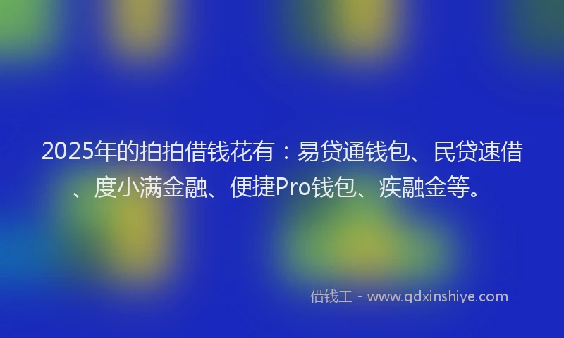 2025年的拍拍借钱花有：易贷通钱包、民贷速借、度小满金融、便捷Pro钱包、疾融金等。