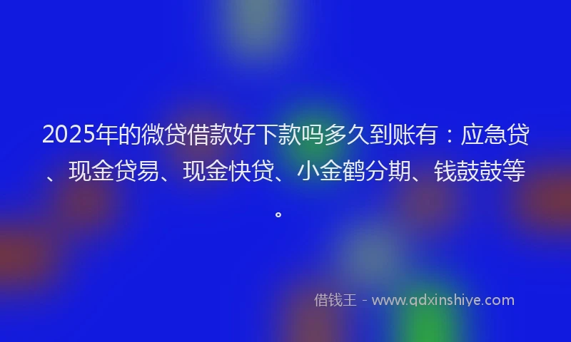 2025年的微贷借款好下款吗多久到账有：应急贷、现金贷易、现金快贷、小金鹤分期、钱鼓鼓等。