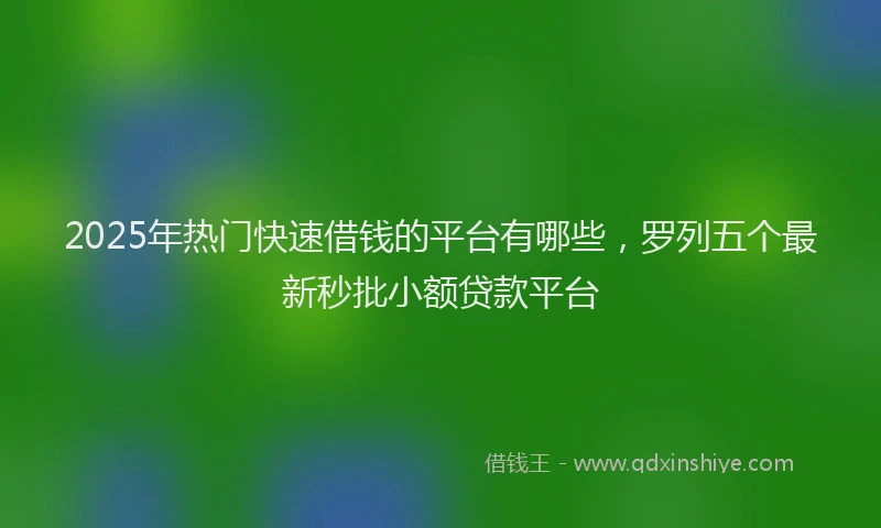 2025年热门快速借钱的平台有哪些，罗列五个最新秒批小额贷款平台
