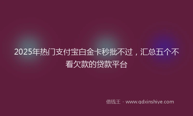 2025年热门支付宝白金卡秒批不过，汇总五个不看欠款的贷款平台