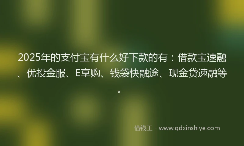 2025年的支付宝有什么好下款的有：借款宝速融、优投金服、E享购、钱袋快融途、现金贷速融等。