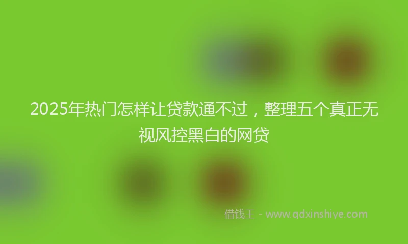 2025年热门怎样让贷款通不过，整理五个真正无视风控黑白的网贷