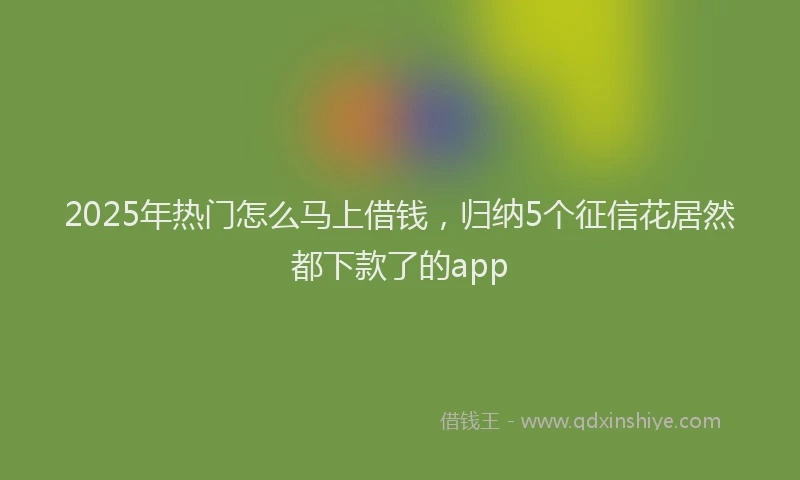 2025年热门怎么马上借钱，归纳5个征信花居然都下款了的app