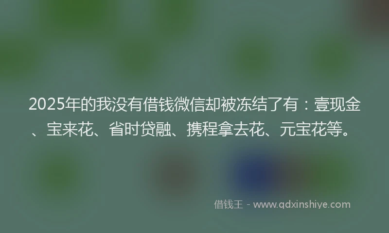 2025年的我没有借钱微信却被冻结了有：壹现金、宝来花、省时贷融、携程拿去花、元宝花等。