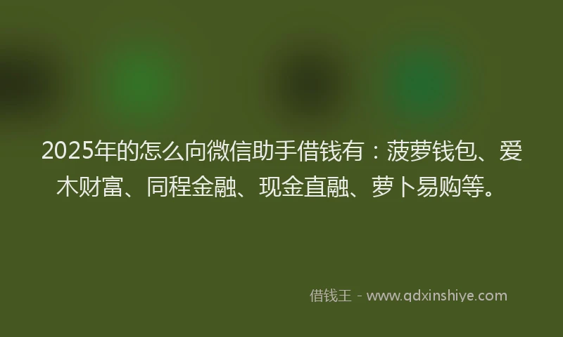 2025年的怎么向微信助手借钱有：菠萝钱包、爱木财富、同程金融、现金直融、萝卜易购等。