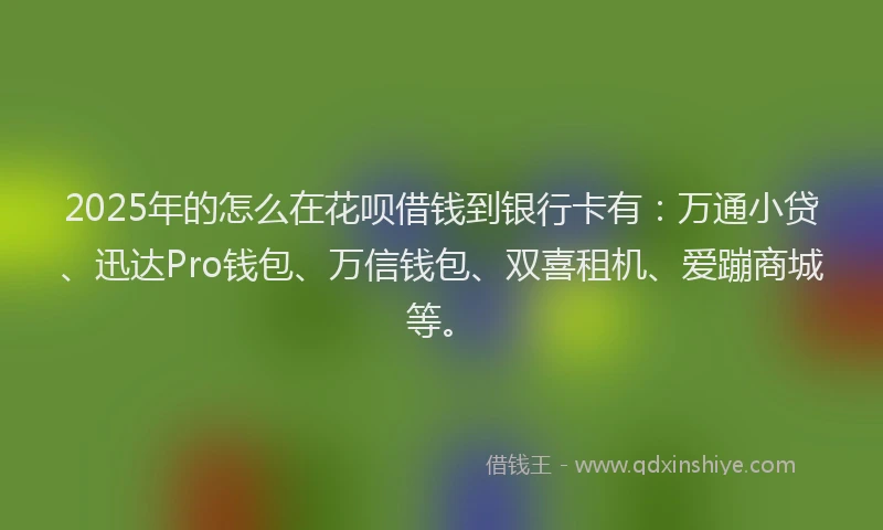 2025年的怎么在花呗借钱到银行卡有：万通小贷、迅达Pro钱包、万信钱包、双喜租机、爱蹦商城等。