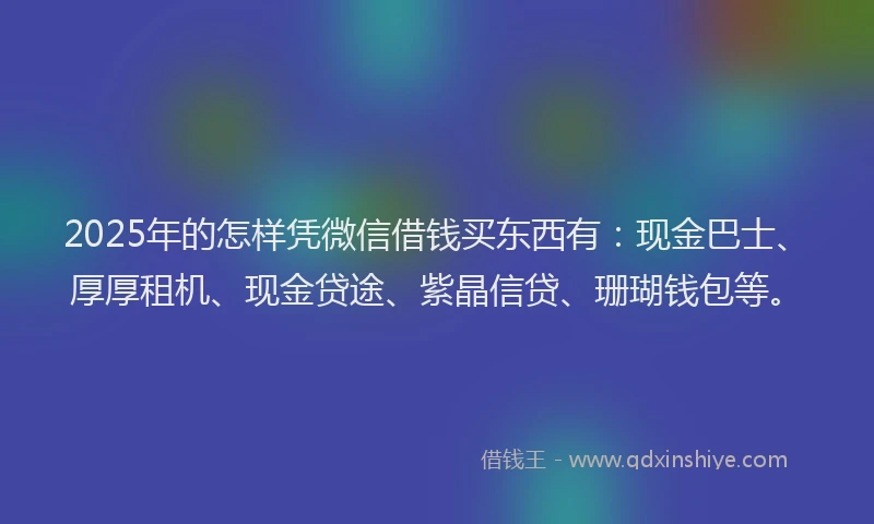 2025年的怎样凭微信借钱买东西有：现金巴士、厚厚租机、现金贷途、紫晶信贷、珊瑚钱包等。