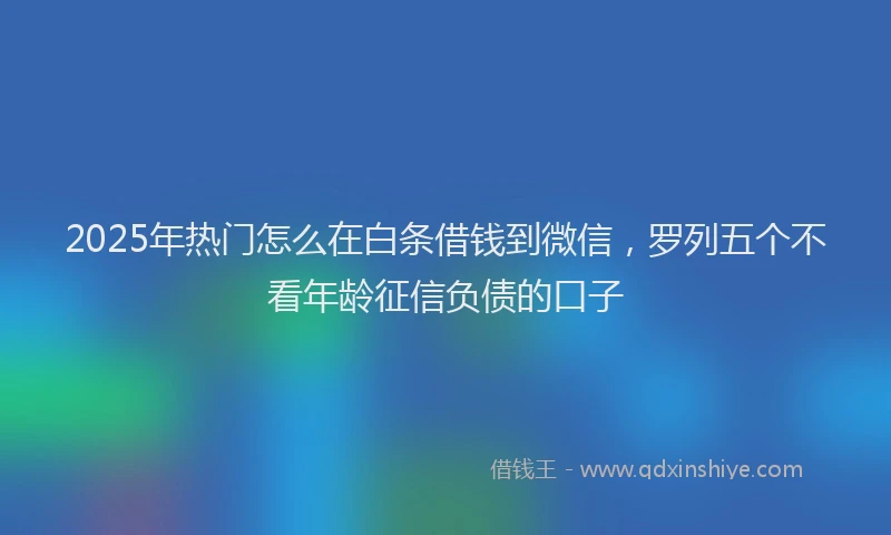 2025年热门怎么在白条借钱到微信，罗列五个不看年龄征信负债的口子