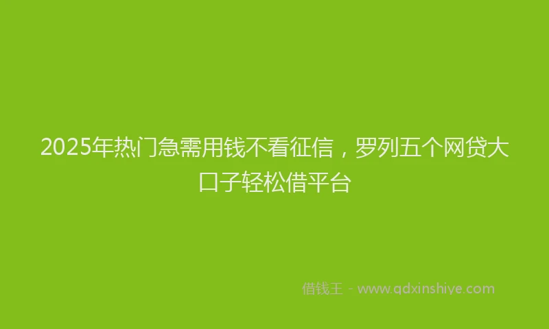 2025年热门急需用钱不看征信，罗列五个网贷大口子轻松借平台
