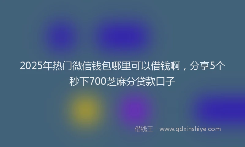 2025年热门微信钱包哪里可以借钱啊，分享5个秒下700芝麻分贷款口子