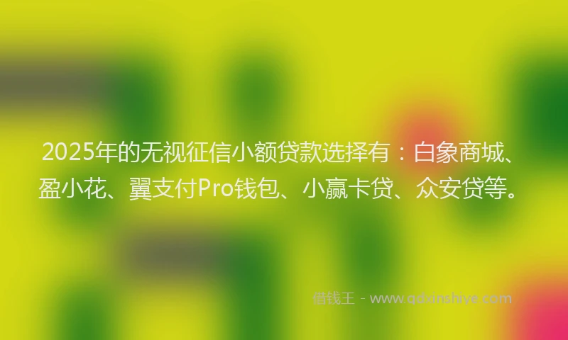 2025年的无视征信小额贷款选择有：白象商城、盈小花、翼支付Pro钱包、小赢卡贷、众安贷等。