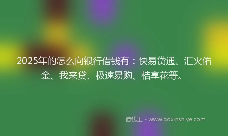 2025年的怎么向银行借钱有：快易贷通、汇火佑金、我来贷、极速易购、桔享花等。