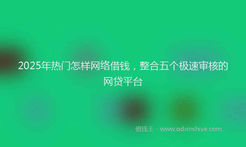 2025年热门怎样网络借钱，整合五个极速审核的网贷平台