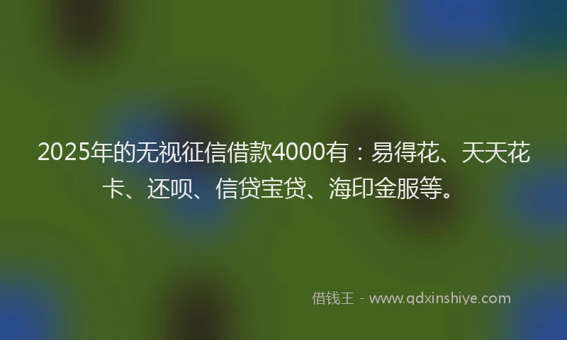 2025年的无视征信借款4000有：易得花、天天花卡、还呗、信贷宝贷、海印金服等。