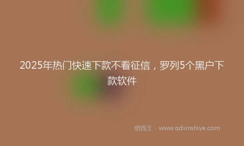 2025年热门快速下款不看征信，罗列5个黑户下款软件