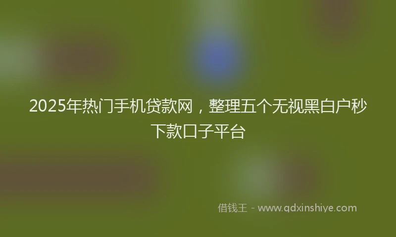 2025年热门手机贷款网，整理五个无视黑白户秒下款口子平台