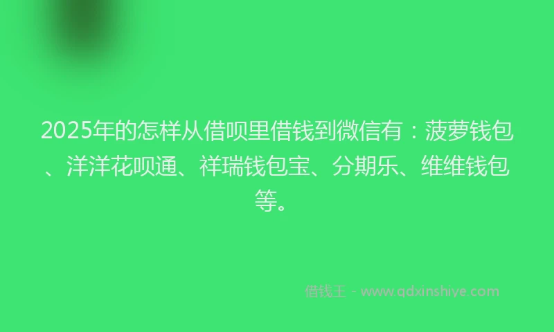 2025年的怎样从借呗里借钱到微信有：菠萝钱包、洋洋花呗通、祥瑞钱包宝、分期乐、维维钱包等。