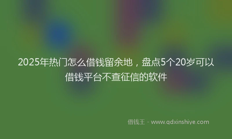 2025年热门怎么借钱留余地，盘点5个20岁可以借钱平台不查征信的软件