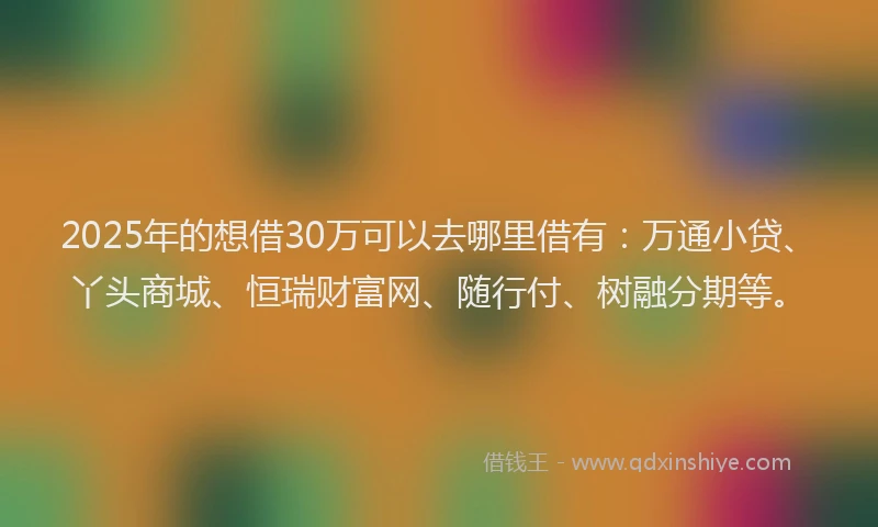 2025年的想借30万可以去哪里借有：万通小贷、丫头商城、恒瑞财富网、随行付、树融分期等。