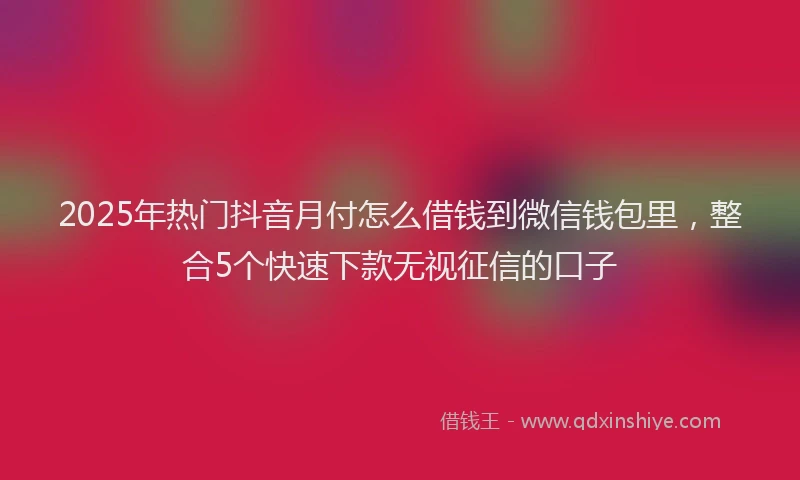 2025年热门抖音月付怎么借钱到微信钱包里，整合5个快速下款无视征信的口子
