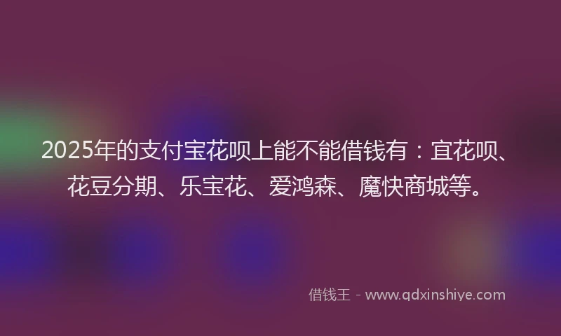 2025年的支付宝花呗上能不能借钱有：宜花呗、花豆分期、乐宝花、爱鸿森、魔快商城等。