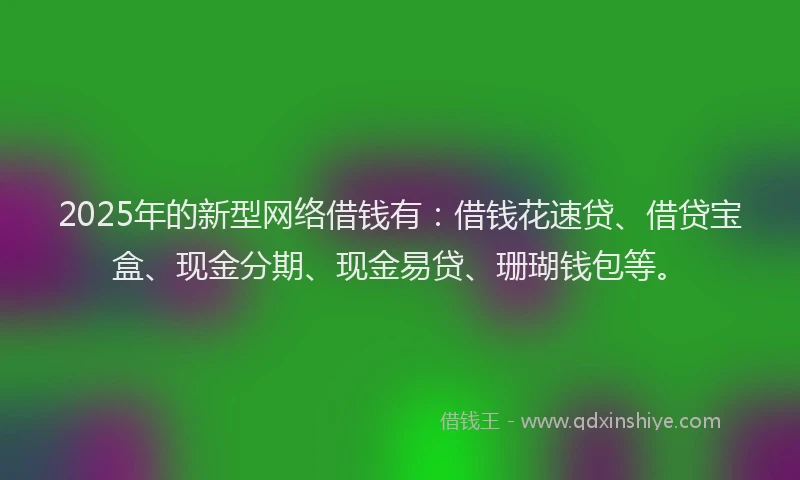 2025年的新型网络借钱有：借钱花速贷、借贷宝盒、现金分期、现金易贷、珊瑚钱包等。