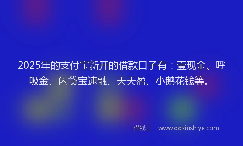 2025年的支付宝新开的借款口子有：壹现金、呼吸金、闪贷宝速融、天天盈、小鹅花钱等。