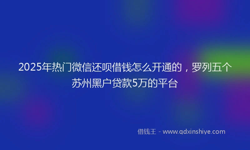 2025年热门微信还呗借钱怎么开通的，罗列五个苏州黑户贷款5万的平台