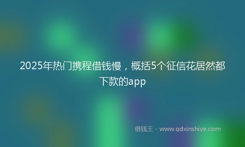 2025年热门携程借钱慢，概括5个征信花居然都下款的app