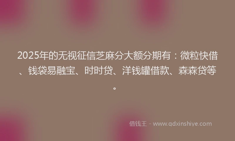 2025年的无视征信芝麻分大额分期有：微粒快借、钱袋易融宝、时时贷、洋钱罐借款、森森贷等。
