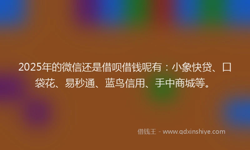 2025年的微信还是借呗借钱呢有：小象快贷、口袋花、易秒通、蓝鸟信用、手中商城等。