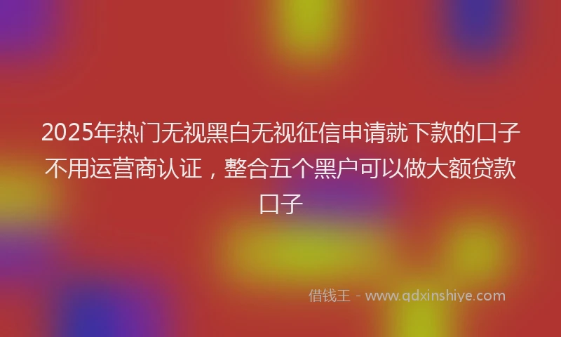 2025年热门无视黑白无视征信申请就下款的口子不用运营商认证，整合五个黑户可以做大额贷款口子