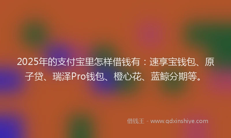 2025年的支付宝里怎样借钱有：速享宝钱包、原子贷、瑞泽Pro钱包、橙心花、蓝鲸分期等。