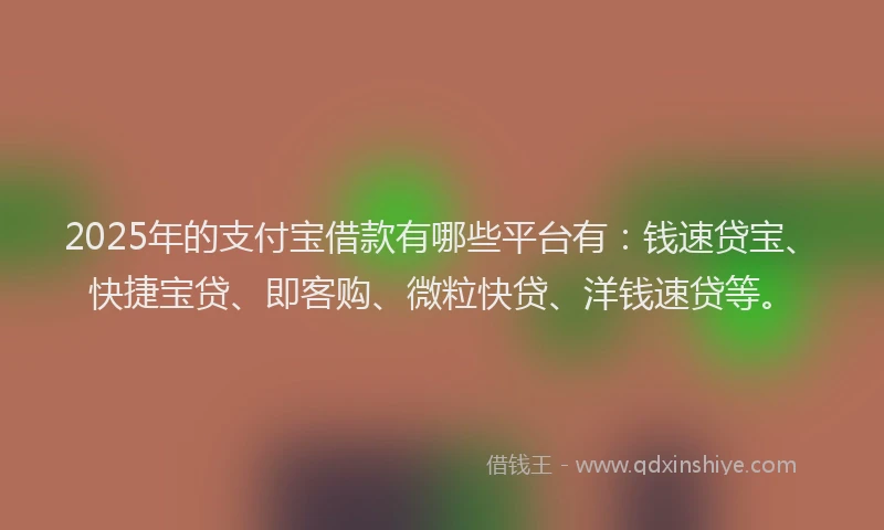 2025年的支付宝借款有哪些平台有：钱速贷宝、快捷宝贷、即客购、微粒快贷、洋钱速贷等。