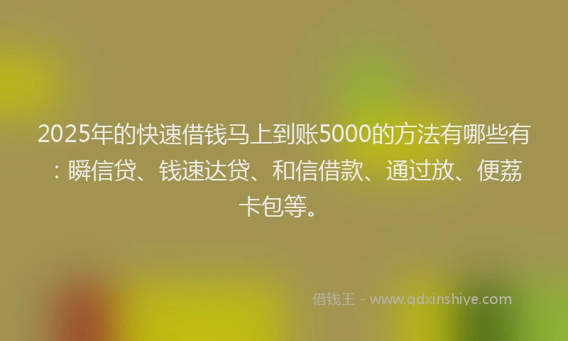 2025年的快速借钱马上到账5000的方法有哪些有：瞬信贷、钱速达贷、和信借款、通过放、便荔卡包等。