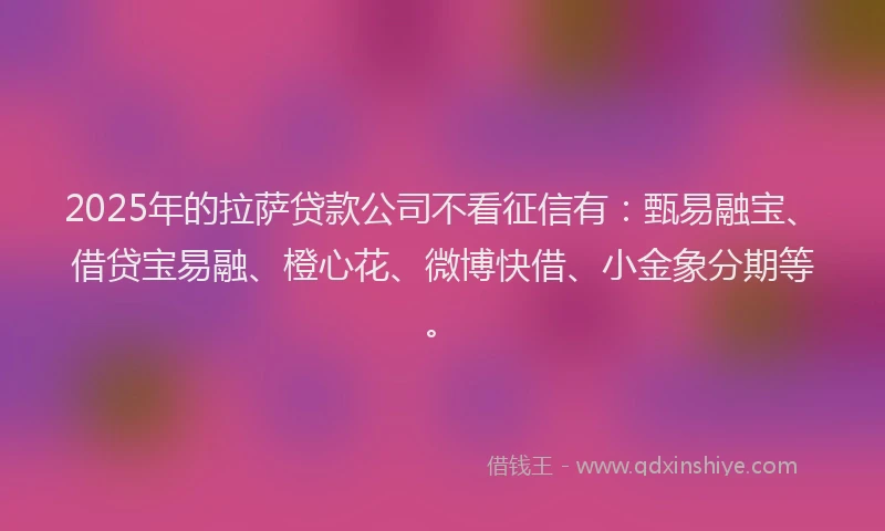 2025年的拉萨贷款公司不看征信有：甄易融宝、借贷宝易融、橙心花、微博快借、小金象分期等。