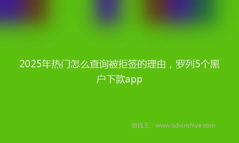 2025年热门怎么查询被拒签的理由，罗列5个黑户下款app