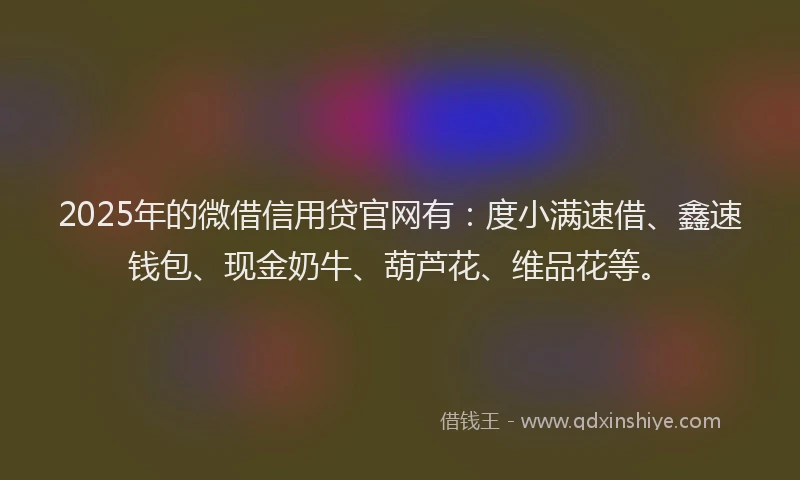 2025年的微借信用贷官网有：度小满速借、鑫速钱包、现金奶牛、葫芦花、维品花等。