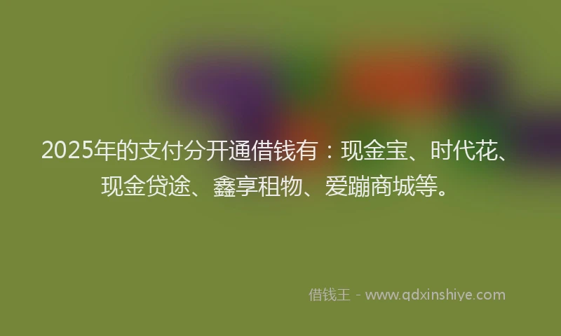 2025年的支付分开通借钱有：现金宝、时代花、现金贷途、鑫享租物、爱蹦商城等。