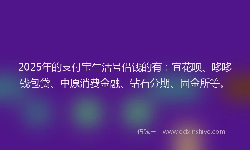 2025年的支付宝生活号借钱的有：宜花呗、哆哆钱包贷、中原消费金融、钻石分期、固金所等。