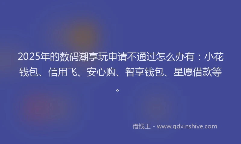 2025年的数码潮享玩申请不通过怎么办有：小花钱包、信用飞、安心购、智享钱包、星愿借款等。