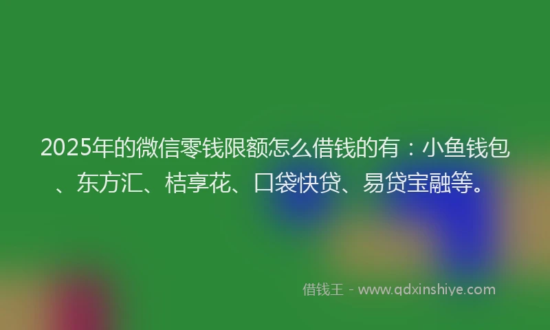 2025年的微信零钱限额怎么借钱的有：小鱼钱包、东方汇、桔享花、口袋快贷、易贷宝融等。