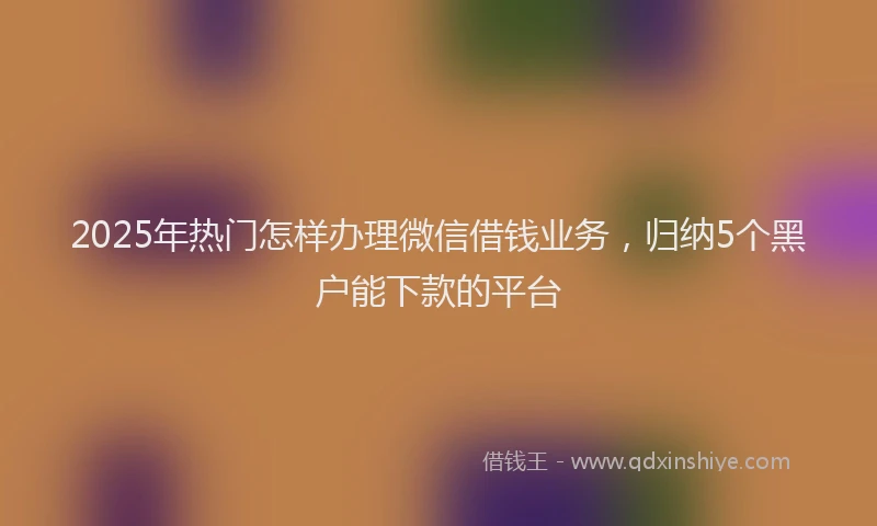 2025年热门怎样办理微信借钱业务，归纳5个黑户能下款的平台