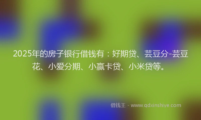 2025年的房子银行借钱有：好期贷、芸豆分-芸豆花、小爱分期、小赢卡贷、小米贷等。