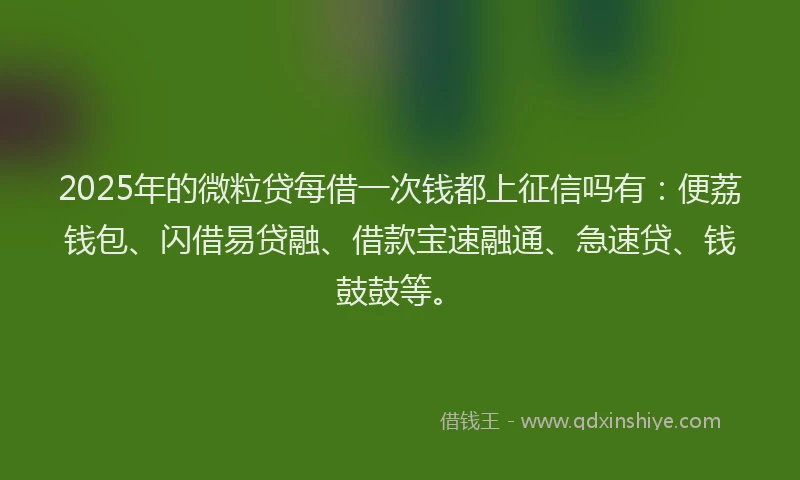 2025年的微粒贷每借一次钱都上征信吗有：便荔钱包、闪借易贷融、借款宝速融通、急速贷、钱鼓鼓等。