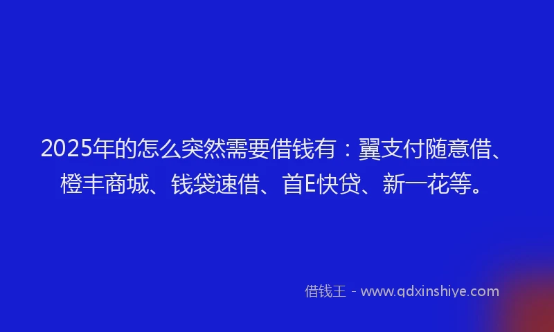 2025年的怎么突然需要借钱有：翼支付随意借、橙丰商城、钱袋速借、首E快贷、新一花等。