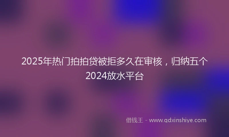 2025年热门拍拍贷被拒多久在审核，归纳五个2024放水平台