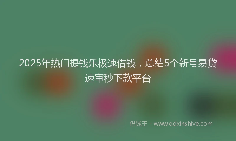 2025年热门提钱乐极速借钱，总结5个新号易贷速审秒下款平台